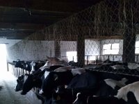 Gorje 082  GoogleUploaded